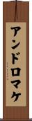 アンドロマケ Scroll