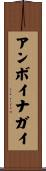 アンボイナガイ Scroll
