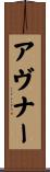 Avner Scroll