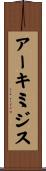 アーキミジス Scroll