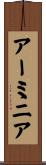 アーミニア Scroll