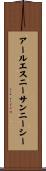 アールエスニーサンニーシー Scroll