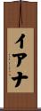 Iana Scroll