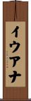 Iuana Scroll