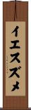イエスズメ Scroll