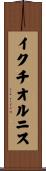 イクチオルニス Scroll