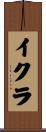 イクラ Scroll