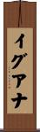 イグアナ Scroll