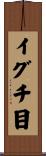 イグチ目 Scroll