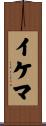 イケマ Scroll