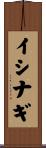 イシナギ Scroll