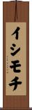 イシモチ Scroll