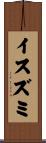 イスズミ Scroll