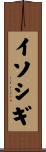 イソシギ Scroll