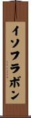 イソフラボン Scroll