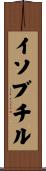 イソブチル Scroll