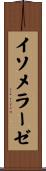 イソメラーゼ Scroll