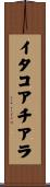 イタコアチアラ Scroll