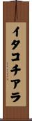 イタコチアラ Scroll