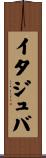 イタジュバ Scroll