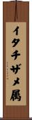 イタチザメ属 Scroll