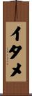 イタメ Scroll