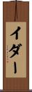 イダー Scroll