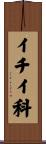 イチイ科 Scroll