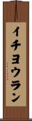 イチヨウラン Scroll