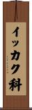 イッカク科 Scroll