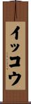 イッコウ Scroll