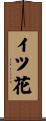 イツ花 Scroll