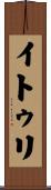 イトゥリ Scroll
