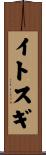 イトスギ Scroll