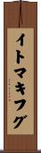 イトマキフグ Scroll