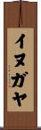 イヌガヤ Scroll