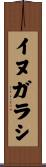 イヌガラシ Scroll