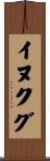 イヌクグ Scroll