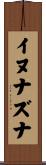 イヌナズナ Scroll