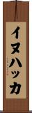 イヌハッカ Scroll