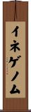 イネゲノム Scroll