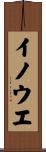 イノウエ Scroll