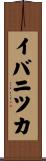 イバニツカ Scroll