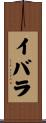 Ibarra Scroll