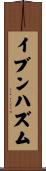 イブンハズム Scroll