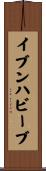 イブンハビーブ Scroll