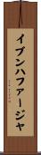イブンハファージャ Scroll
