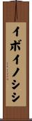 イボイノシシ Scroll