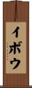 イボウ Scroll