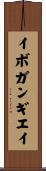 イボガンギエイ Scroll